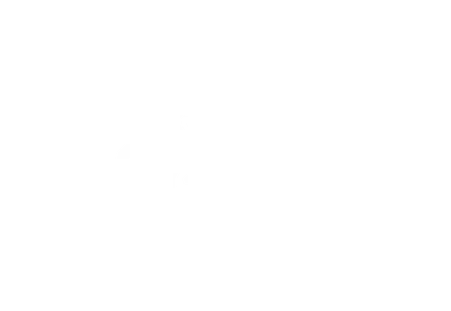 Damel Damel