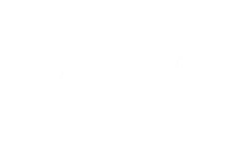 zelnova zelnova