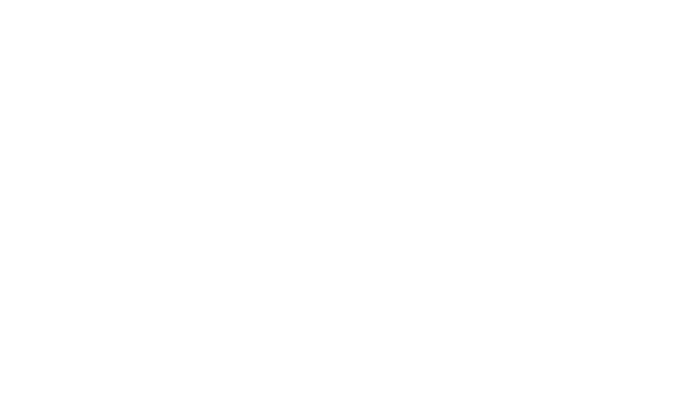 zelnova