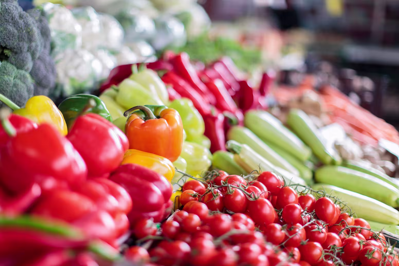 Distribution of fresh and perishable products: agility, visibility and sustainability